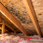 Mould on attic roof sheathing between wooden rafters